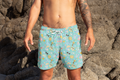 Board Short - Summer Fun